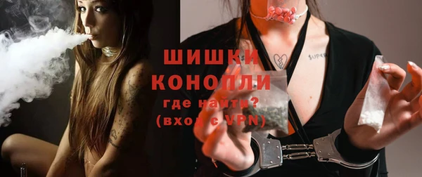 гашик Касимов