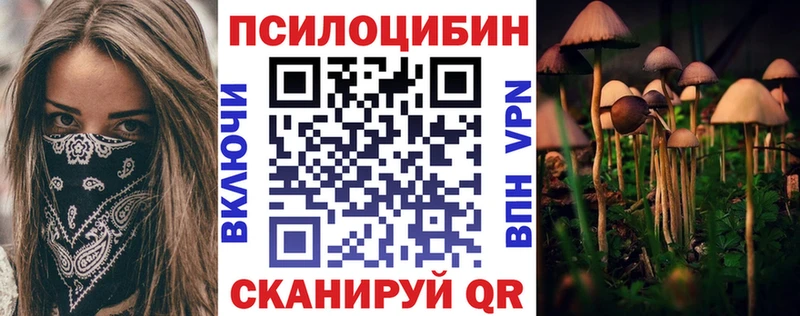 Купить где  Ачхой-Мартан  Псилоцибиновые грибы ЛСД 